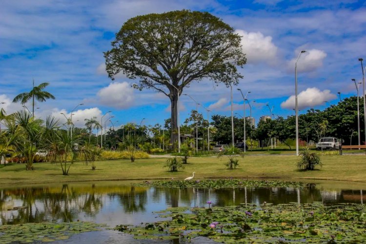 Parque Estadual do Utinga é Reconhecido Como um dos Dez Mais Visitados do Brasil